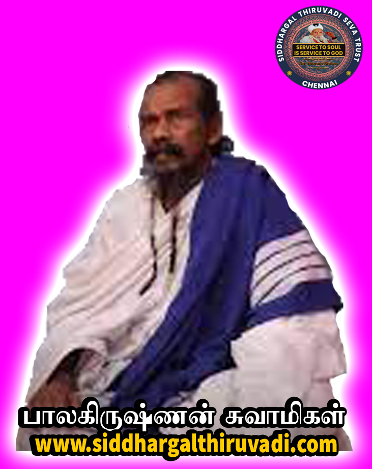 Bala Krishnan Swamigal
